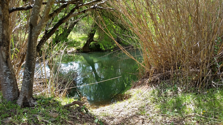 baden im Bach