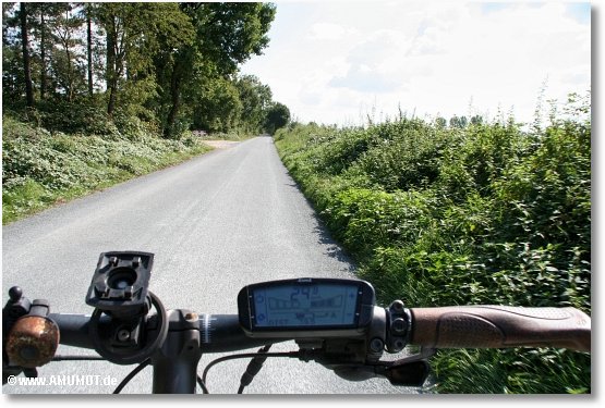 mit dem fahrrad an de maasduinen