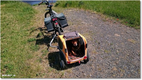 Mit Hund auf dem Ederradweg