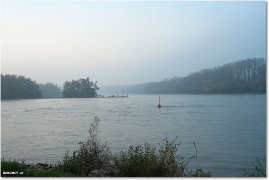 november am rhein