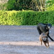 wohnmobilstellplätze in der Pfalz