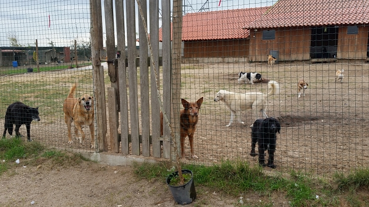 O Cantinho du Milu bei Sebutal, Portugal