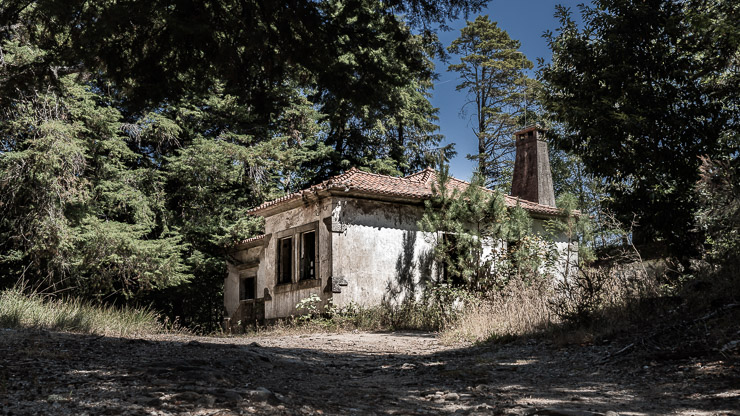 Ruine mitten im Wald