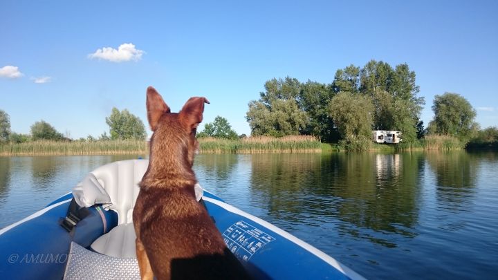 schlauchboot fahren in polen