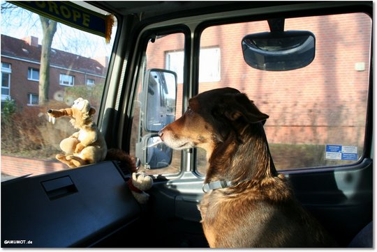 Max ist schon gespannt und schaut ob ich richtig fahre.