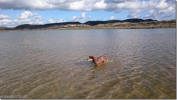 Max im Wasser - ein Wunder