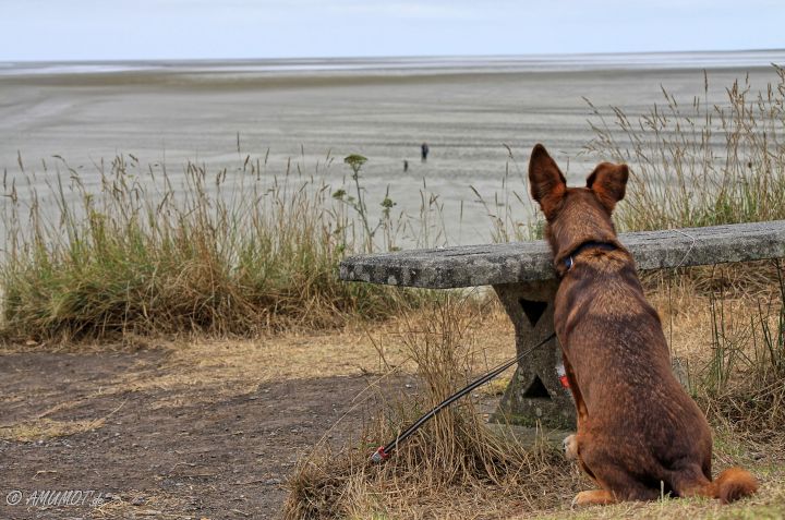 normandie reisebericht letzter tag