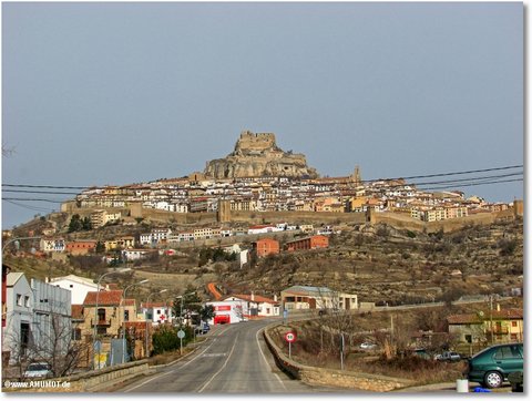 Bergdorf morella