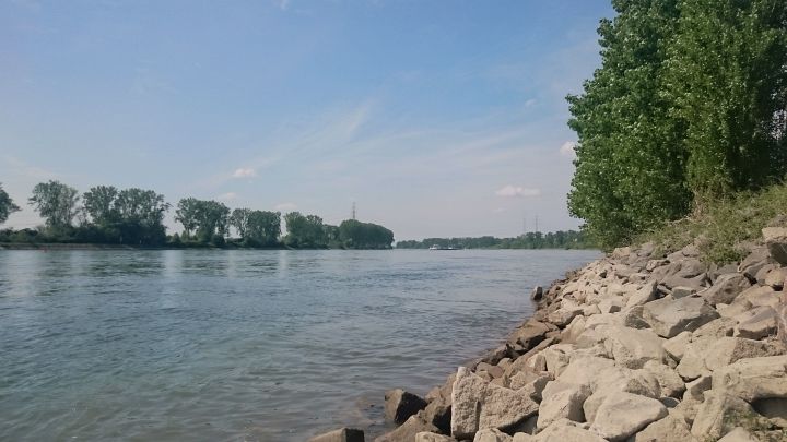 Blick auf den Rhein