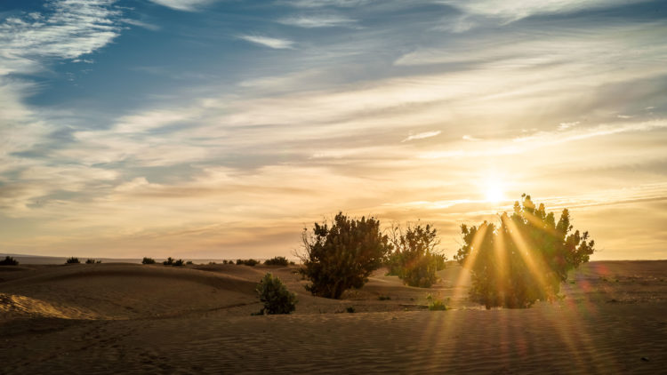 Sunrise in Erg Chegaga