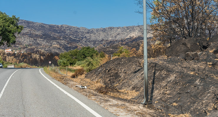 verbrannte Erde bis an den Straßenrand