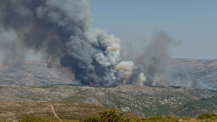 Waldbrand